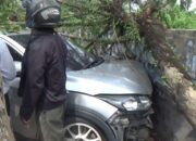 HRV Dikendarai Pria dan Rekan Wanita Tabrak Becak, Oleng & Hantam Pohon di Medan, Korban ke RS!