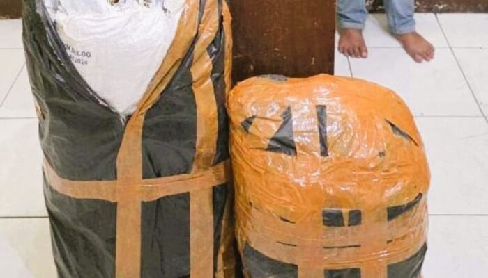 Menyamar Jadi Pembeli, Polda Sumut Gagalkan Peredaran 20 Kg Ganja Asal Aceh