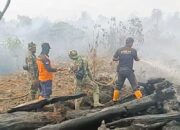 Karhutla 58,7 Hektare di Aceh Barat Berhasil Dipadamkan, BPBD Tetap Siaga
