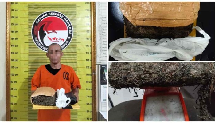 Jalinsum Batunadua Digegerkan Penangkapan Pria Pembawa 900 Gram Ganja, Polisi Kejar Pemasok