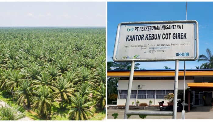 Akademisi USK Dorong Penyelesaian Menyeluruh Konflik PTPN IV Cot Girek, Dialog dan Penegakan Hukum Harus Berjalan Bersamaan