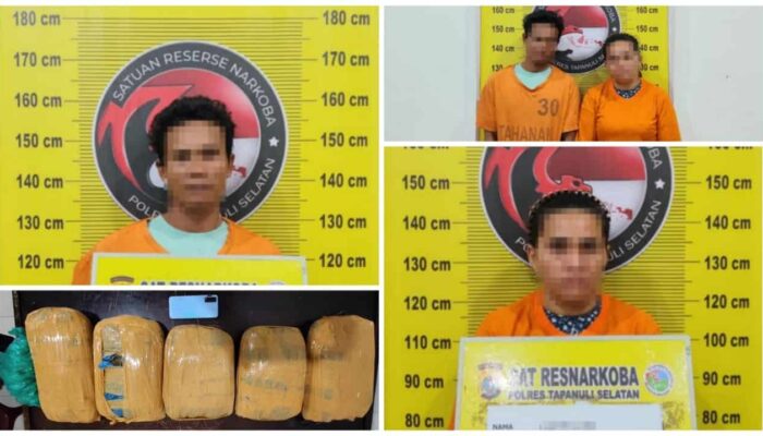 Polisi Bongkar Dugaan Peredaran Ganja Lima Kilogram di Tapsel, Dua Orang Diamankan