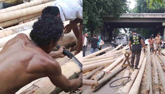 Jelang HUT RI, Dagangan Batang Pinang Masih Lesu: Baru 45 Batang Terjual