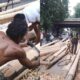 Jelang HUT RI, Dagangan Batang Pinang Masih Lesu: Baru 45 Batang Terjual