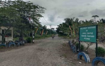 Areal PHS di Palas Disebut dalam Penguasaan Satgas PKH, Aktivitas Panen Masih Disorot