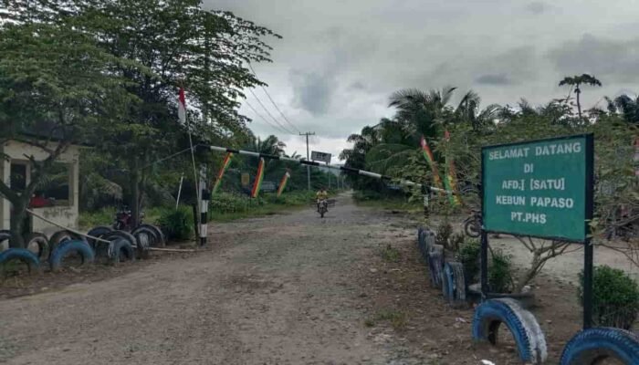 Areal PHS di Palas Disebut dalam Penguasaan Satgas PKH, Aktivitas Panen Masih Disorot