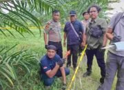 Wanita 59 Tahun Tewas di Perkebunan Simalungun, Polisi Temukan Botol Racun Rumput