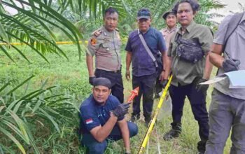Wanita 59 Tahun Tewas di Perkebunan Simalungun, Polisi Temukan Botol Racun Rumput