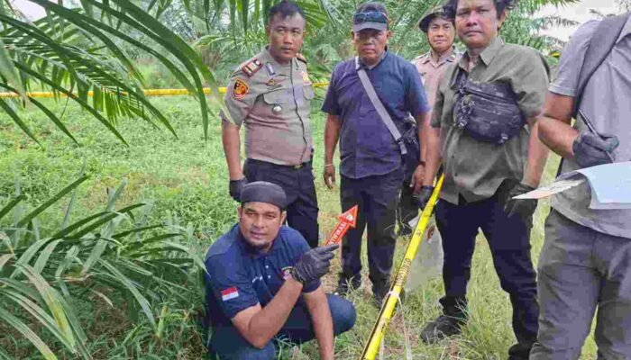 Wanita 59 Tahun Tewas di Perkebunan Simalungun, Polisi Temukan Botol Racun Rumput