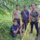 Wanita 59 Tahun Tewas di Perkebunan Simalungun, Polisi Temukan Botol Racun Rumput