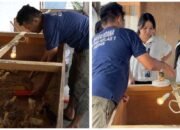 Lahan Branggang Jadi Produktif, Rutan Medan Kembangkan Ternak 200 Ayam Kampung